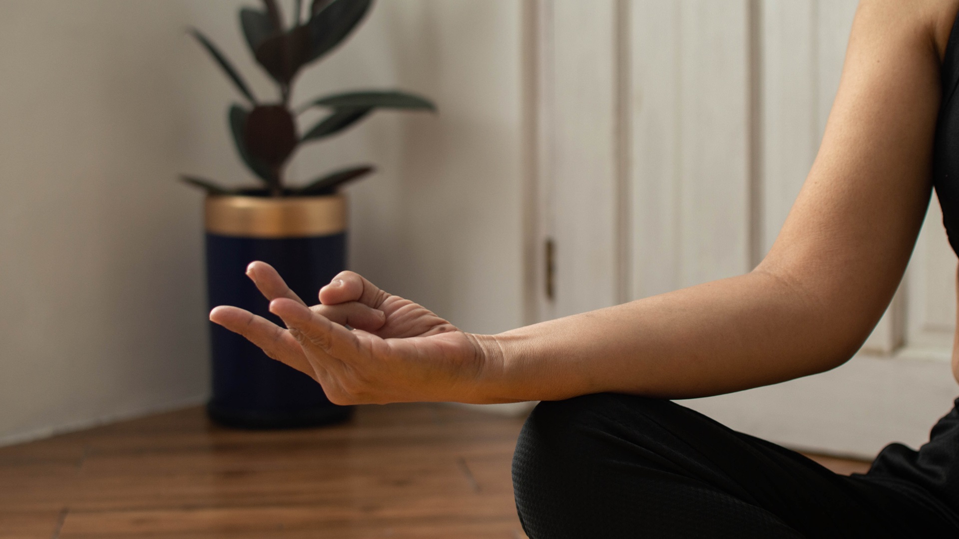 Ruka v meditační pozici mudra, s rostlinou v pozadí. Symbolizuje klid a psychohygienu.