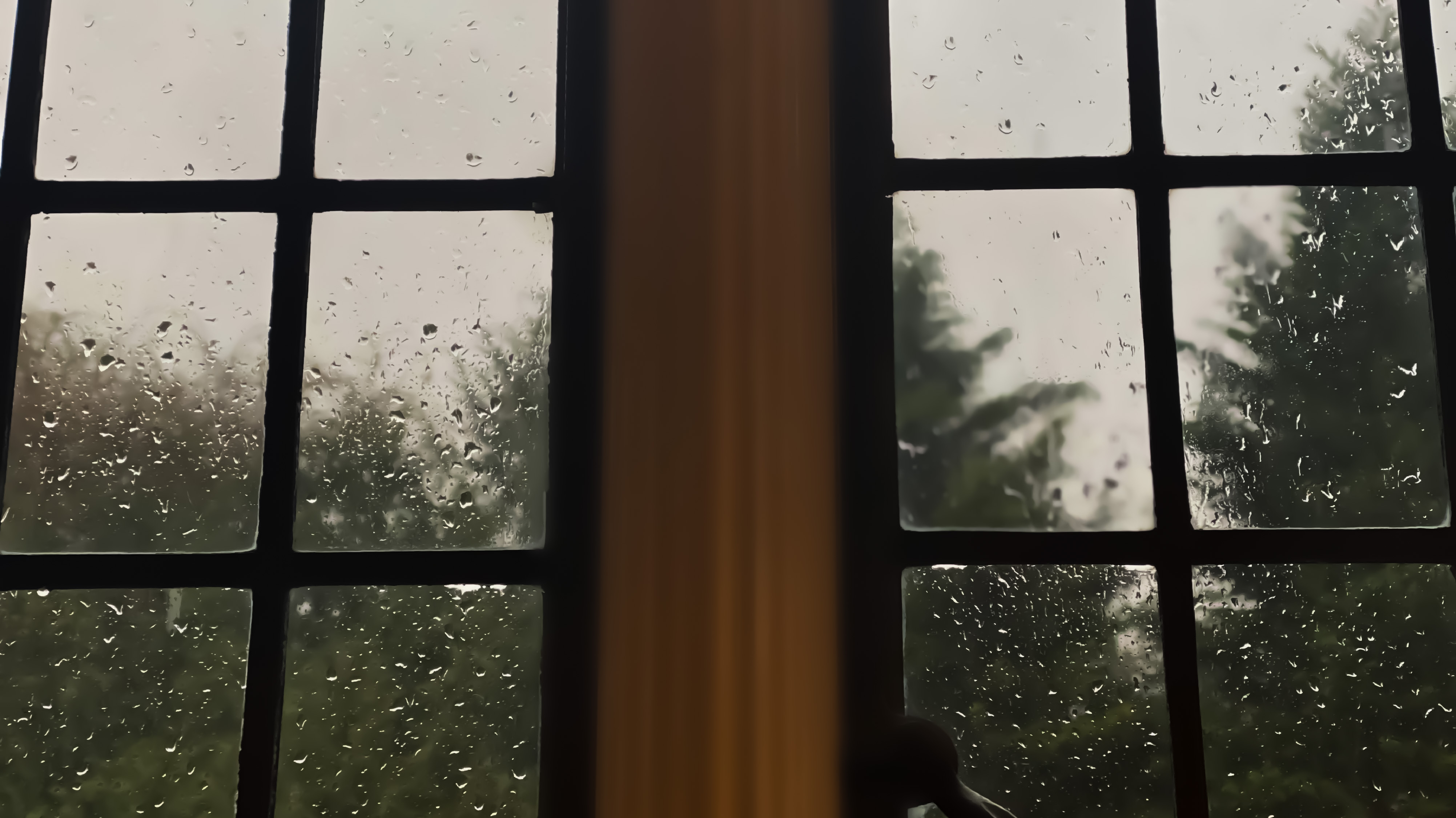 Dešťové kapky stékají po okenních tabulkách, za nimiž se rozmazaně rýsují stromy. Atmosféra klidu a zamyšlení.